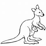 Kangaroo Coloring Page  Free Download On ClipArtMag sketch template
