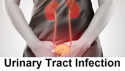 Signs And Symptoms Of Bladder Infection ( Urinary Tract Infection / Cystitis ) | Health And Beauty