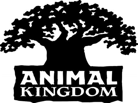 animal kingdom – Disney Creative Company