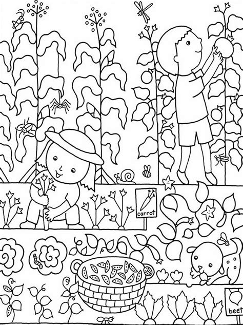 Vegetable Garden Drawing at GetDrawings | Free download