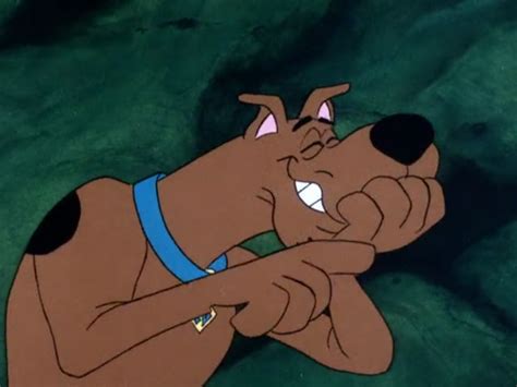 Scooby-Doo Laughing he's is funny always goofing | Scooby doo images, Scooby doo pictures ...