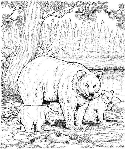 bear-7.gif 2,290×2,746 pixels | Bear coloring pages, Animal coloring ...