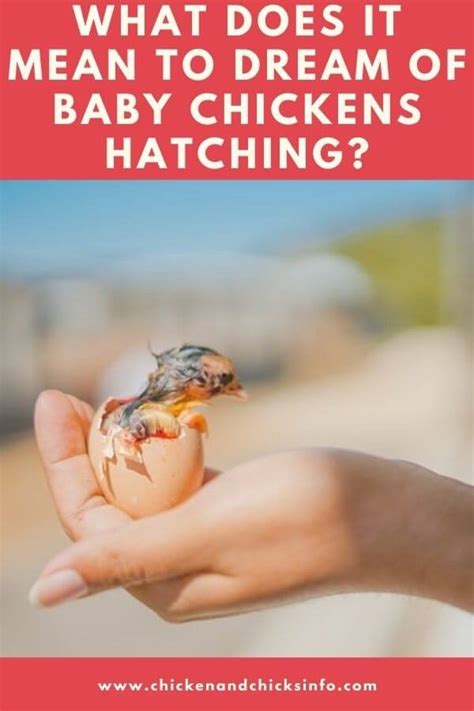 What Does It Mean to Dream of Baby Chickens Hatching? (Explained) - Chicken & Chicks Info