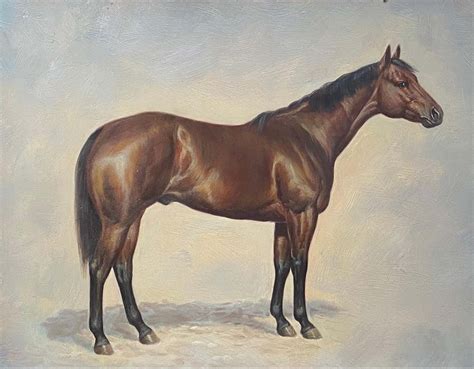 British Sporting Art - Fine Equestrian Horse Portrait British Oil Painting - Horse standing For ...