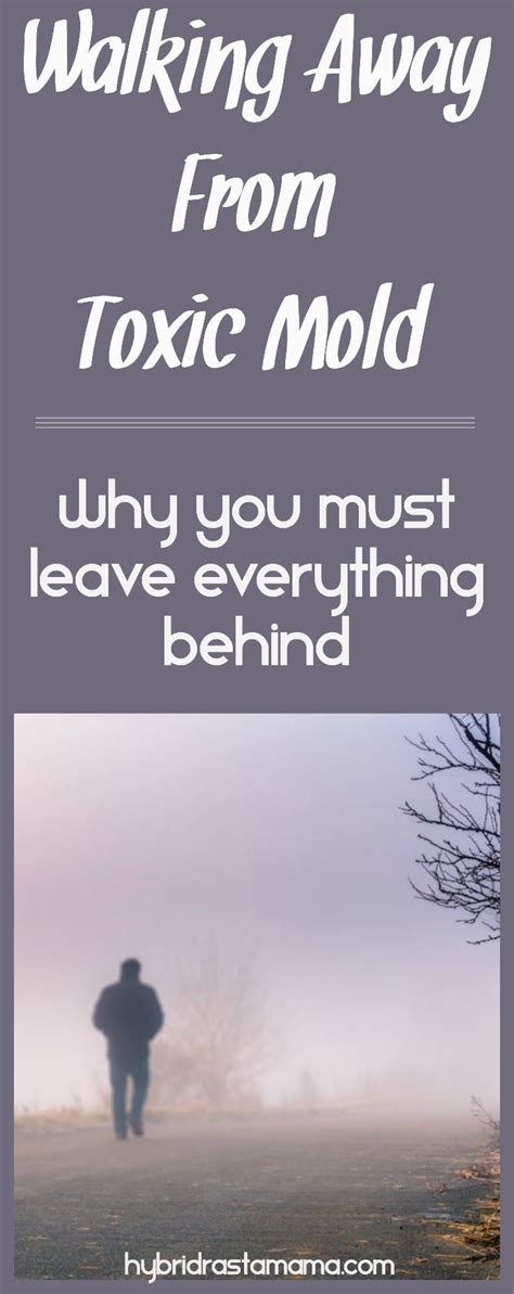 Walking Away From Toxic Mold - Why You Must Leave Everything Behind ...