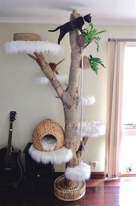 Cat tree | Diy cat tree, Cat tree house, Cat house diy