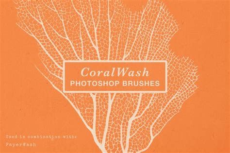 CoralWash Photoshop Brushes | Photoshop brushes, Photoshop, Photoshop ...