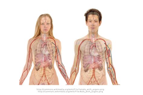 Standard for pulmonary function tests gets an update