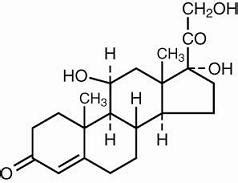 Cortisporin Otic Suspension: Package Insert - Drugs.com