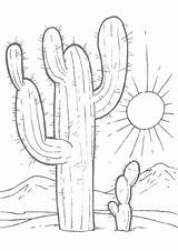 Desert Coloring Pages Printable At GetDrawings  Free Download sketch template