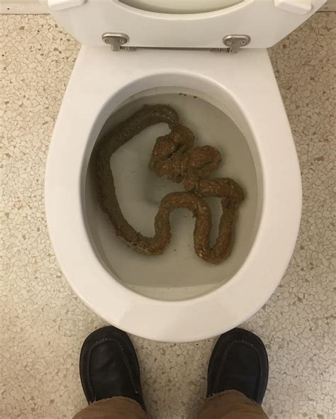 30” bowel evacuation. YUP. GRATEFUL. 🙏 : r/ratemypoo