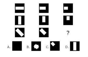 cattell culture fair question | IQ Test Prep