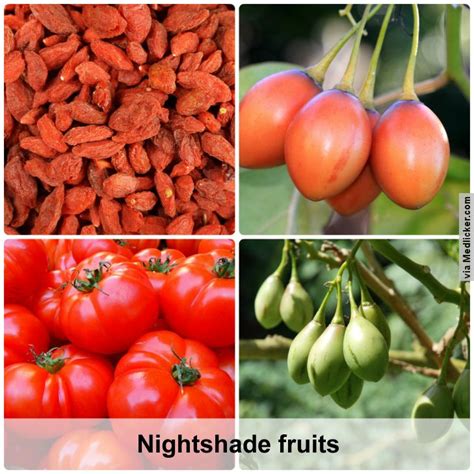 Nightshade Vegetables and Fruits