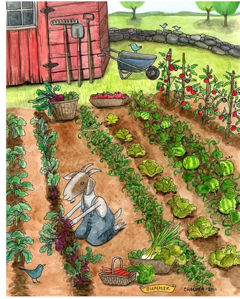 Ideal Vegetable Garden Drawing : Garden Companion Vegetable Drawing ...