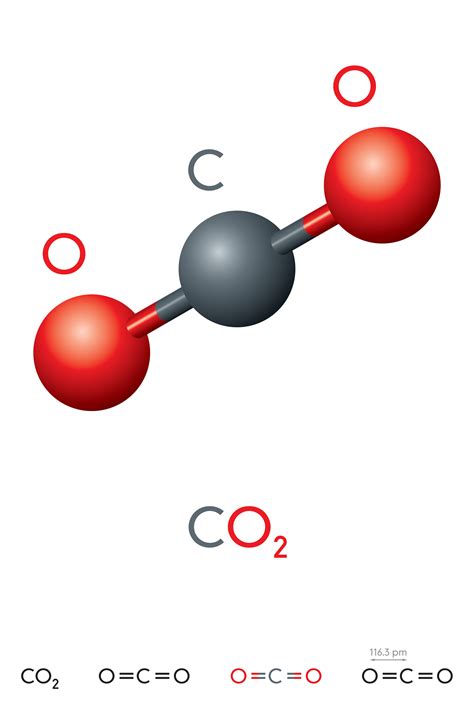 Carbon Dioxide Co Atomic Diagram Royalty Free Stock Photo Image | My XXX Hot Girl