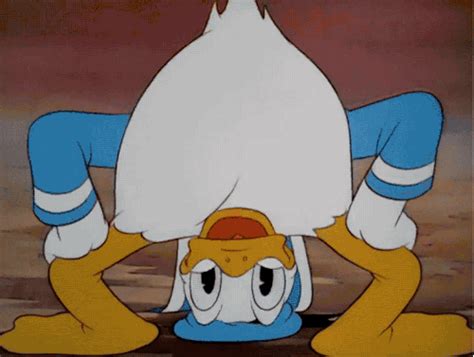 Donald Duck GIFs - Find & Share on GIPHY