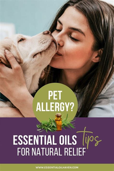 How To Use Essential Oils for Pet Allergies in 2020 | Pet allergies, Natural relief, Essential ...