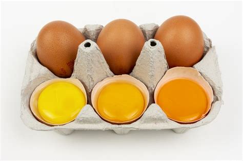 Raw Egg Yolks: One of My Favorite Meals — Dr. Scott Solomons