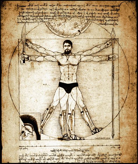 King Leonidas da Vinci Vitruvian Man by Rabittooth on DeviantArt