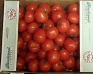 Blackpool Tomatoes