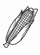 Corn Coloring Pages Printable For Free Download sketch template