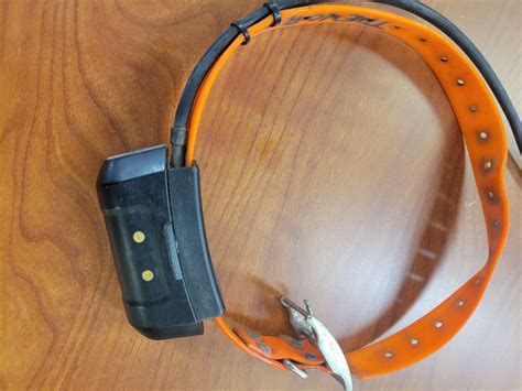 Garmin DC40 Dog GPS Tracking Collar - Good Condition w/ Orange Strap | eBay