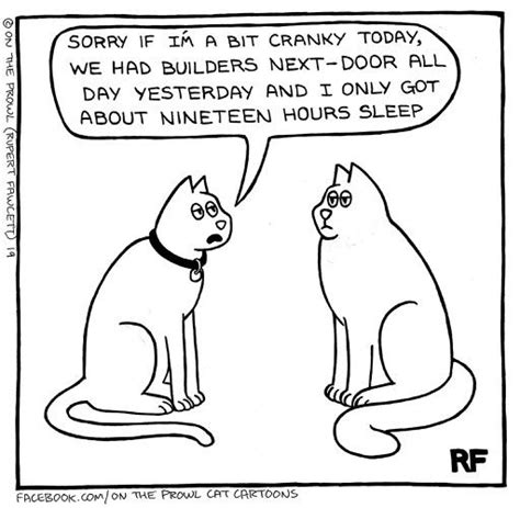 Pin by Laurel Glasco on On the Prowl Cat Cartoons and Other Artists ...