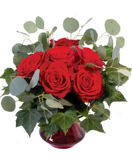 Crimson Ivy Roses Flower Arrangement | Just Because | Flower Shop Network