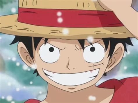 Monkey D. Luffy Personality Type, Zodiac Sign & Enneagram | So Syncd