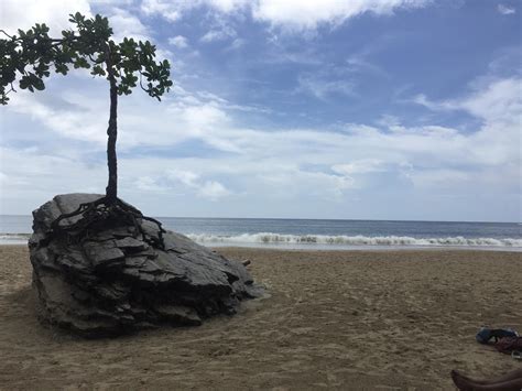 Las cuevas Trinidad and Tobago : r/beach