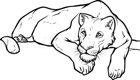 How To Draw A Lioness, Step by Step, Drawing Guide, by Dawn - DragoArt