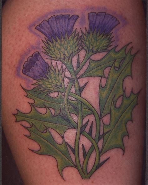 scottish thistles by bizarre ink, via Flickr | Scottish tattoos, Scottish thistle tattoo ...