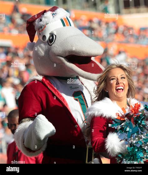 Miami dolphins cheerleaders and miami dolphins mascot t d hi-res stock ...