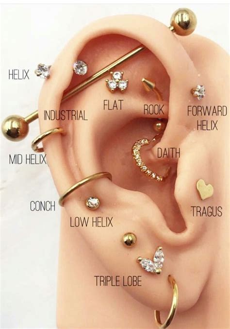 Jewelry Trend Alert: The 411 on Multiple Ear Piercings ~ Nile Corp. Blog