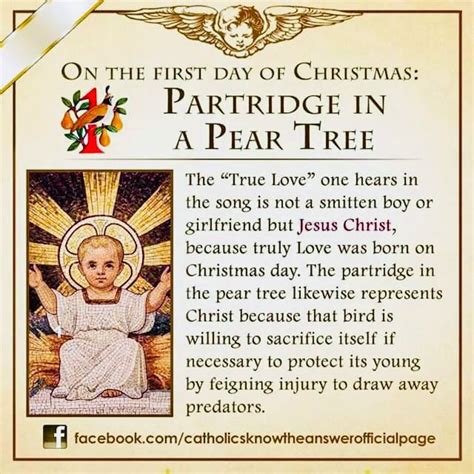 The Partridge in a Pear Tree can also represent the atoning sacrifice of the Savior and its ...
