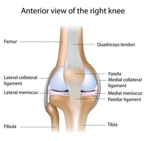 Patellofemoral Pain Syndrome