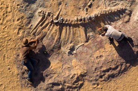 Niger Expedition Finds Lost World of African Dinosaurs — And Ancient Humans » Explorersweb in ...