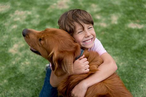 Nomi di armi per cani: imposta la tua vista sul nome ideale. (2022)