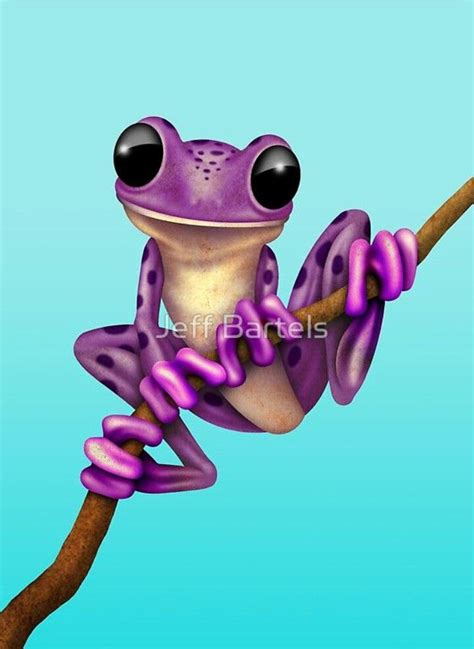 Pin by Ingrid Martin on grenouille | Frog illustration, Frog art, Tree frog tattoos