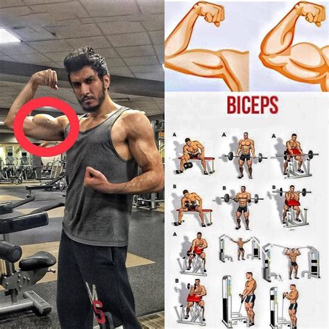 Biceps Exercises | Video Training - weighteasyloss.com