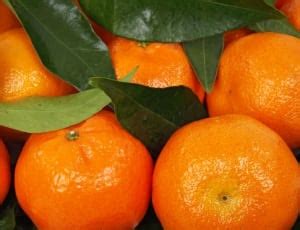 orange and green round fruit free image | Peakpx