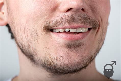 Stryx | How to Fix a Patchy Beard | 5 Proven Ways