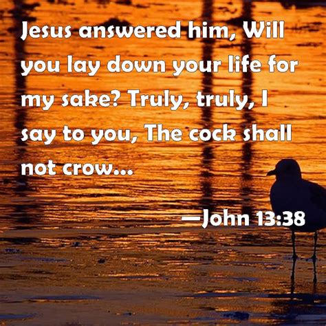 John 13:38 Jesus answered him, Will you lay down your life for my sake? Truly, truly, I say to ...