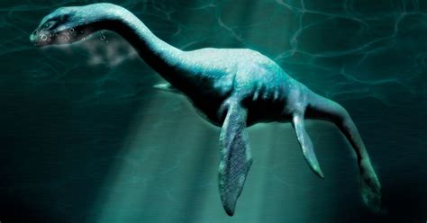 Loch Ness Monster documentary to prove Nessie 'could be real' claims ...