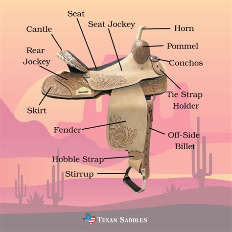 A Complete Guide To Western Saddles | atelier-yuwa.ciao.jp