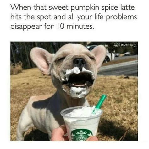 45 Pumpkin Spice Memes You Are So Ready For - Funny Gallery | eBaum's World