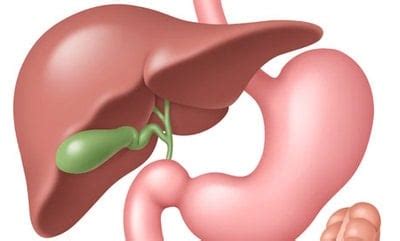 Quels sont les symptômes de la maladie de la vésicule biliaire | Bonheur et santé