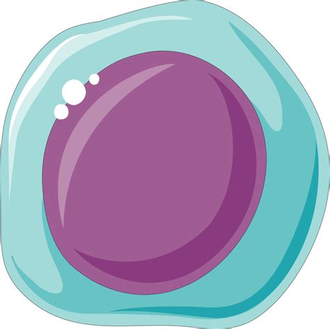 Body Cell PNG Transparent Images - PNG All