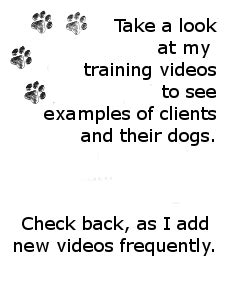 Dog Training Tips | Dog Training Videos | Rick Walkley