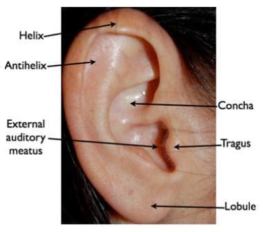 Necrotizing Otitis Externa